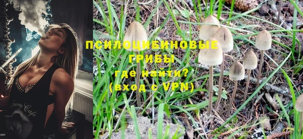 PSILOCYBIN Алексин