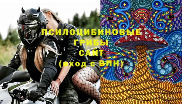 2c-b Алзамай